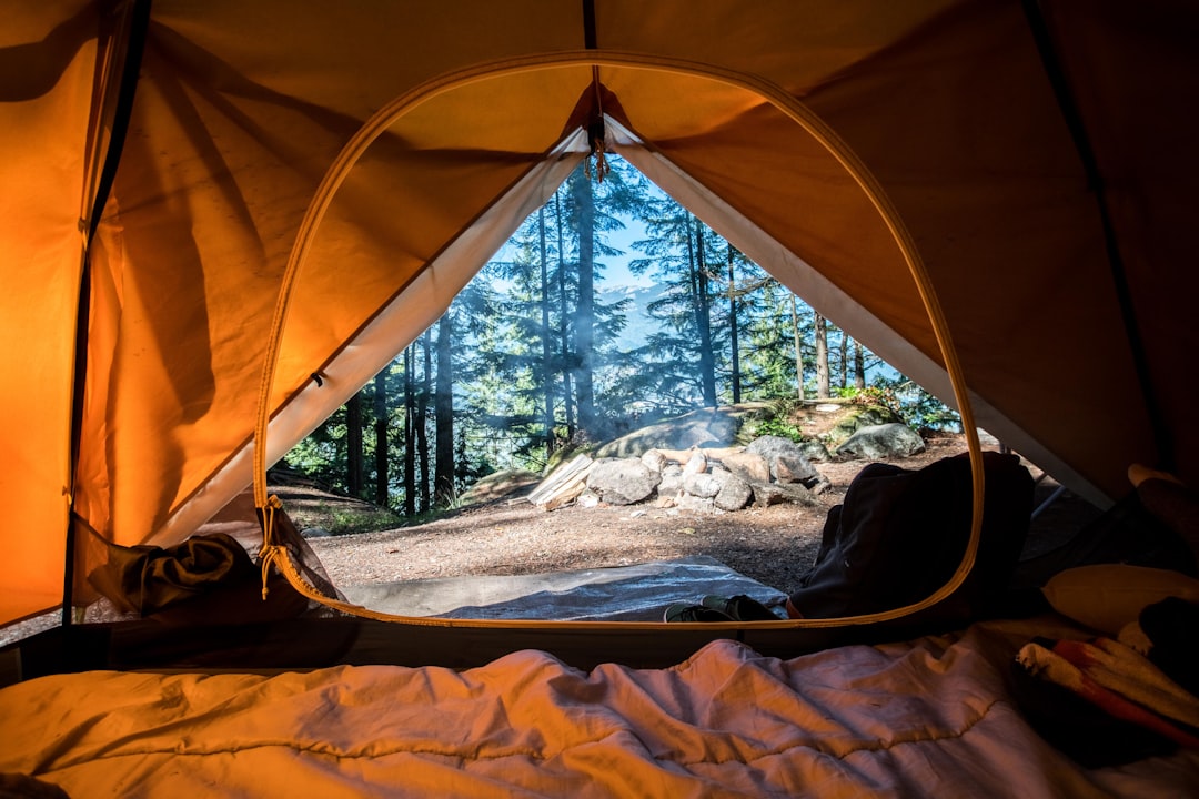 Oplev Fantastiske Campingpladser i Esbjerg: En Rejseguide