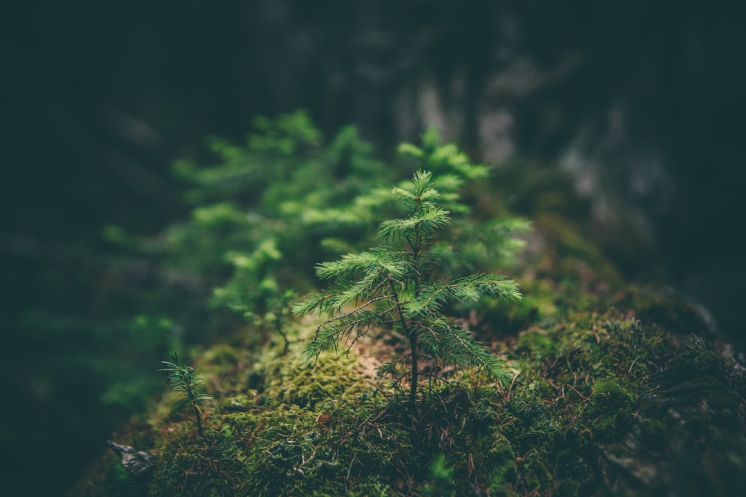 Sæsonplads Camping – Oplev Naturen i Danmark